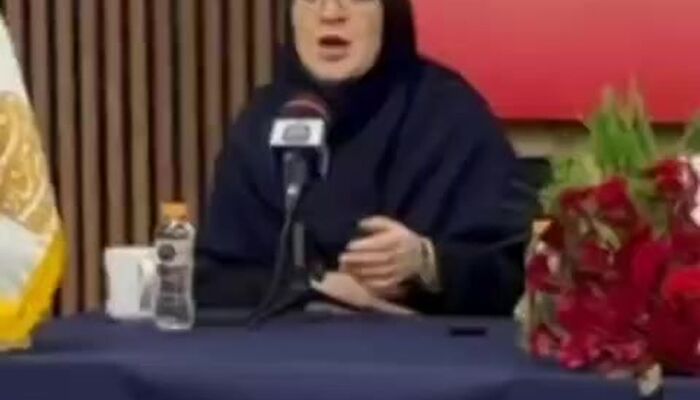سخنگوی دولت: آستانه تحمل نظام بالا رفته است/ چهره‌های زیادی از ایرانیان خارج کشور مایل به برگشت هستند