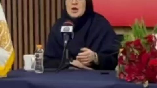 سخنگوی دولت: آستانه تحمل نظام بالا رفته است/ چهره‌های زیادی از ایرانیان خارج کشور مایل به برگشت هستند